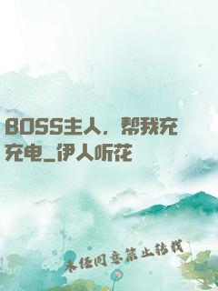 BOSS主人，帮我充充电