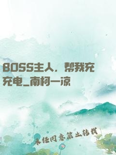 BOSS主人，帮我充充电