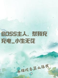 BOSS主人，帮我充充电