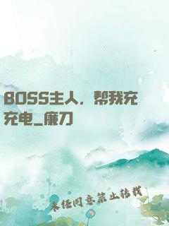 BOSS主人，帮我充充电