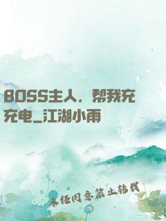 BOSS主人，帮我充充电