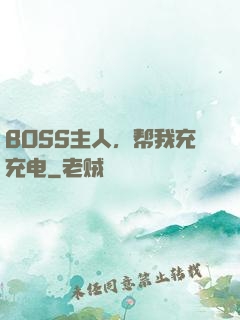 BOSS主人，帮我充充电