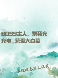 BOSS主人，帮我充充电
