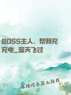 BOSS主人，帮我充充电