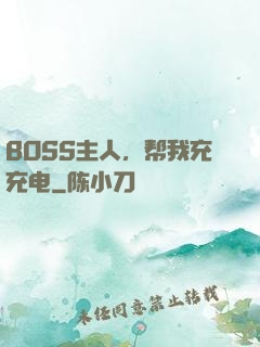 BOSS主人，帮我充充电