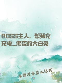 BOSS主人，帮我充充电