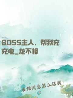 BOSS主人，帮我充充电