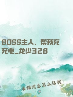 BOSS主人，帮我充充电