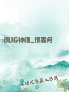 BUG神瞳