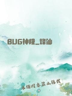 BUG神瞳