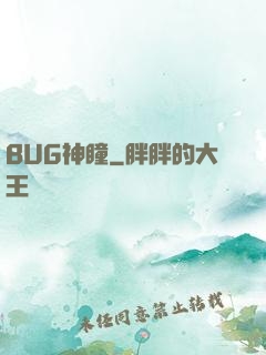 BUG神瞳