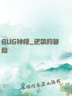 BUG神瞳