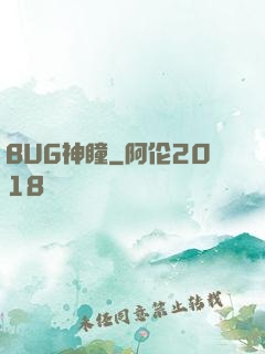 BUG神瞳