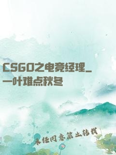 CSGO之电竞经理