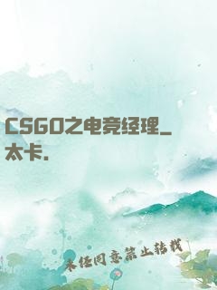 CSGO之电竞经理