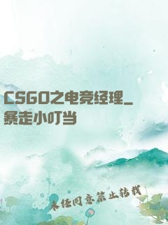 CSGO之电竞经理