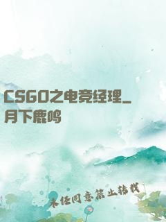 CSGO之电竞经理