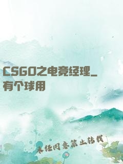 CSGO之电竞经理