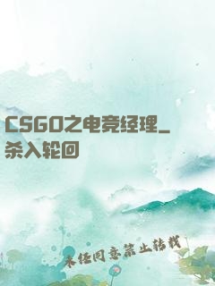 CSGO之电竞经理