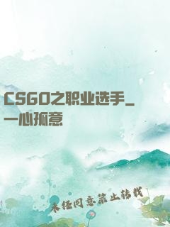 CSGO之职业选手