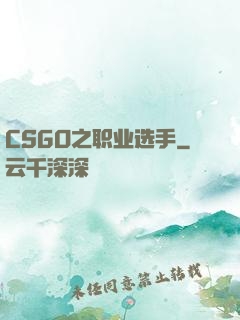 CSGO之职业选手