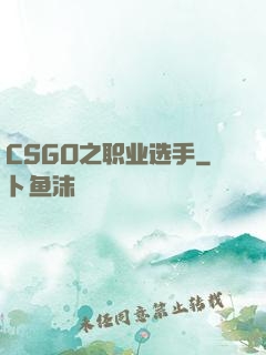 CSGO之职业选手
