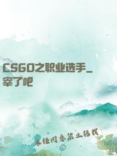 CSGO之职业选手