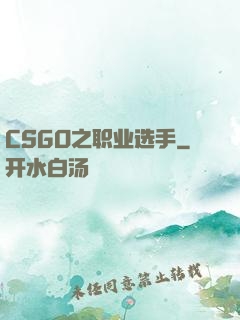 CSGO之职业选手