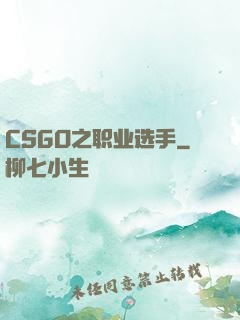 CSGO之职业选手