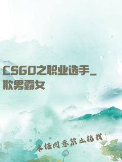CSGO之职业选手