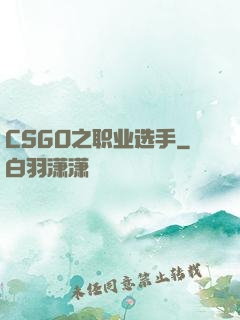 CSGO之职业选手