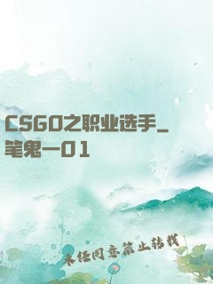 CSGO之职业选手