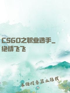 CSGO之职业选手