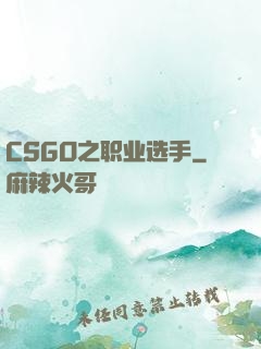 CSGO之职业选手