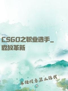 CSGO之职业选手