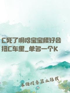C死了啊哈宝宝腰好会扭C车里