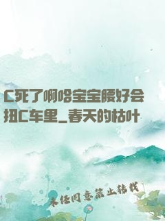 C死了啊哈宝宝腰好会扭C车里