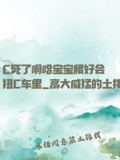 C死了啊哈宝宝腰好会扭C车里