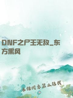 DNF之尸王无敌