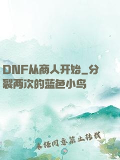 DNF从商人开始