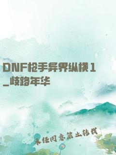 DNF枪手异界纵横1