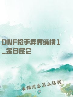 DNF枪手异界纵横1