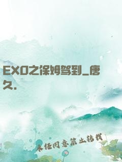 EXO之保姆驾到