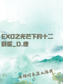 EXO之光芒下的十二颗星