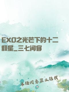 EXO之光芒下的十二颗星