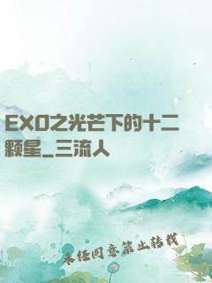 EXO之光芒下的十二颗星