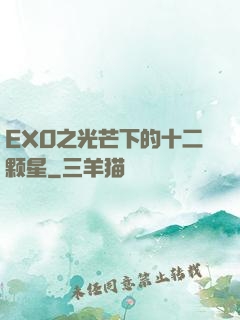 EXO之光芒下的十二颗星