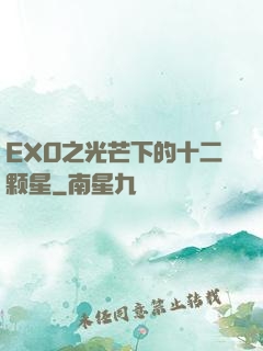 EXO之光芒下的十二颗星