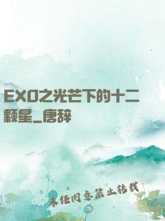 EXO之光芒下的十二颗星