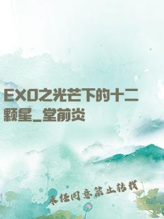 EXO之光芒下的十二颗星